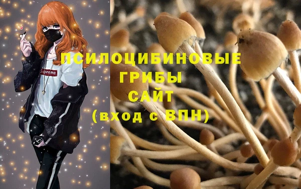 прущая мука Богданович