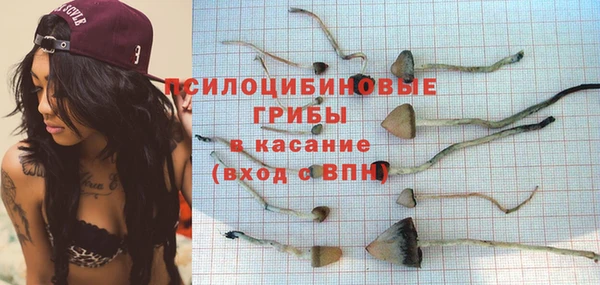 винт Белокуриха